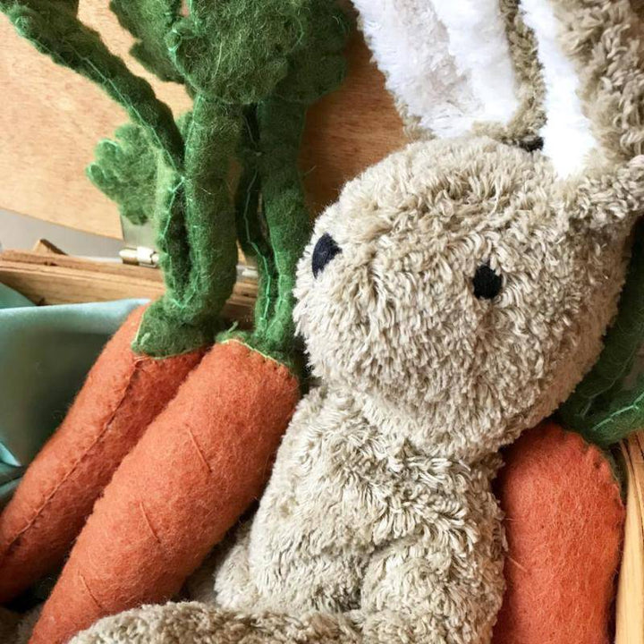 Organic Bunny Rabbit - Felt Carrots - Bella Luna Toys  