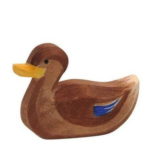 Ostheimer Duck, Swimming 13212