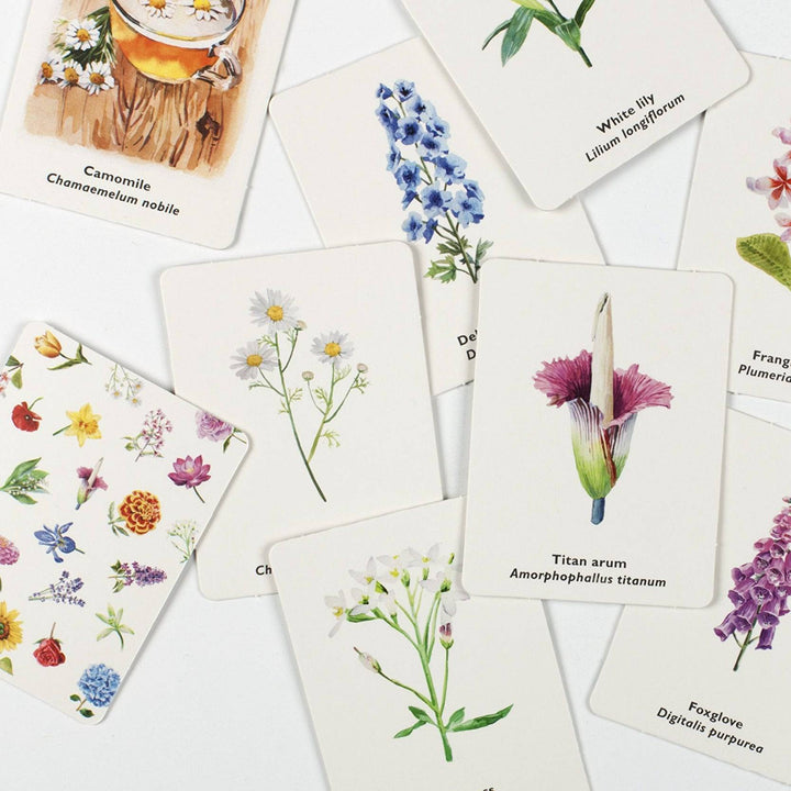 LK Publishing - Pick a Flower Memory Card Game - Bella Luna Toys