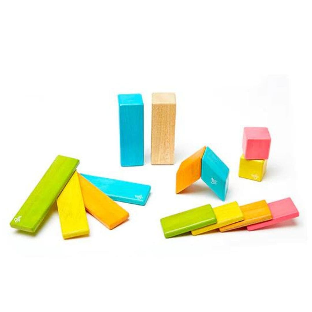 Tegu - 14 piece magnetic wooden blocks set - Tints