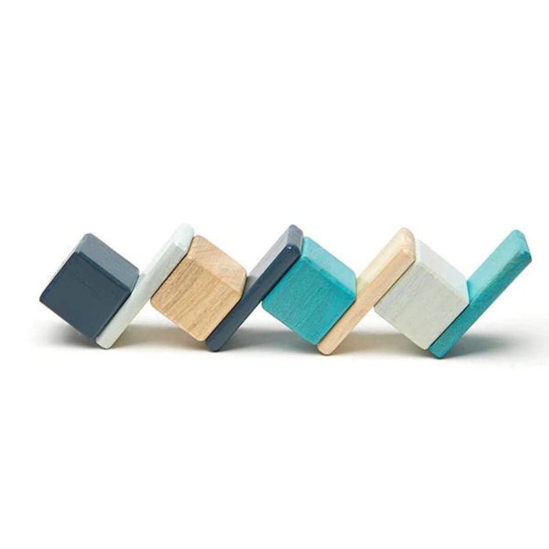 Tegu - blues pocket pouch magnetic wooden blocks travel toy