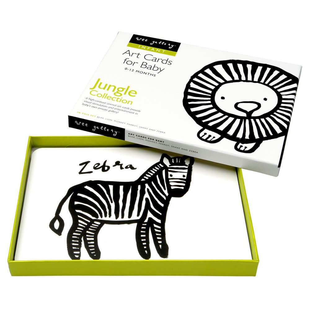 Wee Gallery - Jungle Collection Art Flashcards - Bella Luna Toys