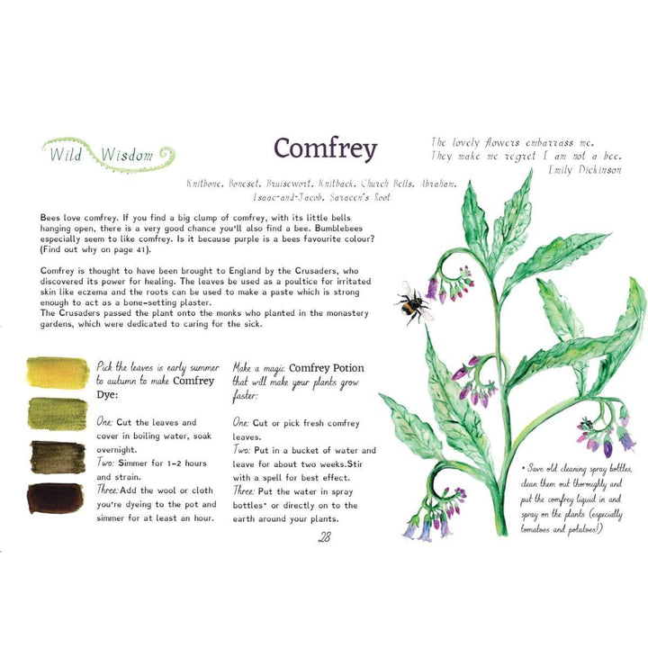 A Year and a Day - Issue 6 - Comfrey - Summer Edition